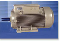 Slip Ring Crane Duty Bharat Bijlee Motor